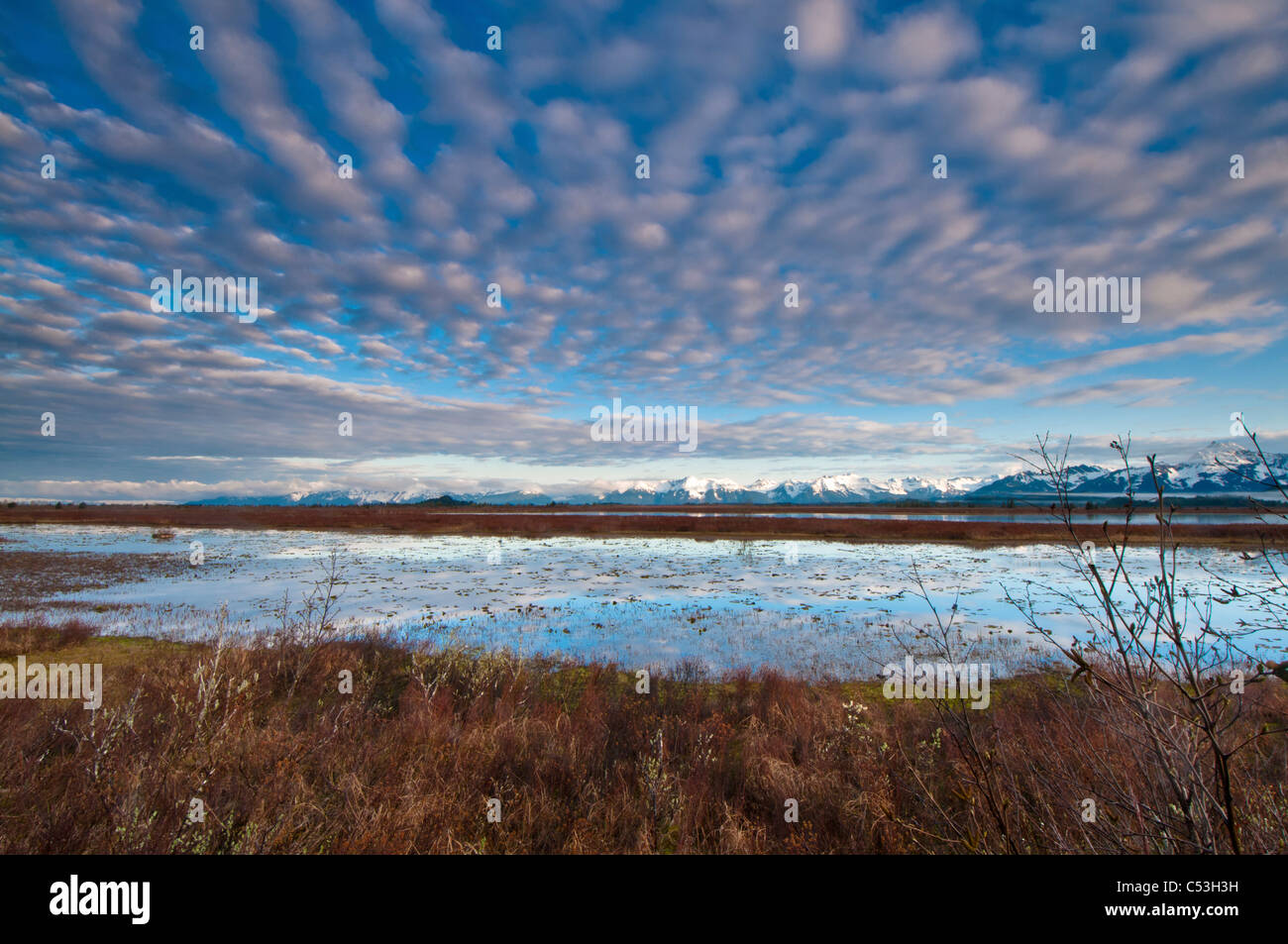 Cirrocumulus clouds over Alaganik slough in the morning, Chugach National Forest, Cordova, Southcentral Alaska, Spring Stock Photo