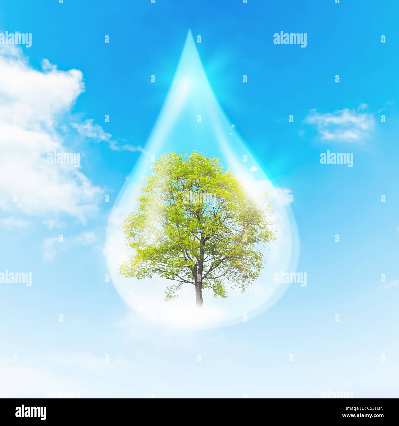 Green Tree inside a clean drop of water as a symbol of environmental protection Stock Photo