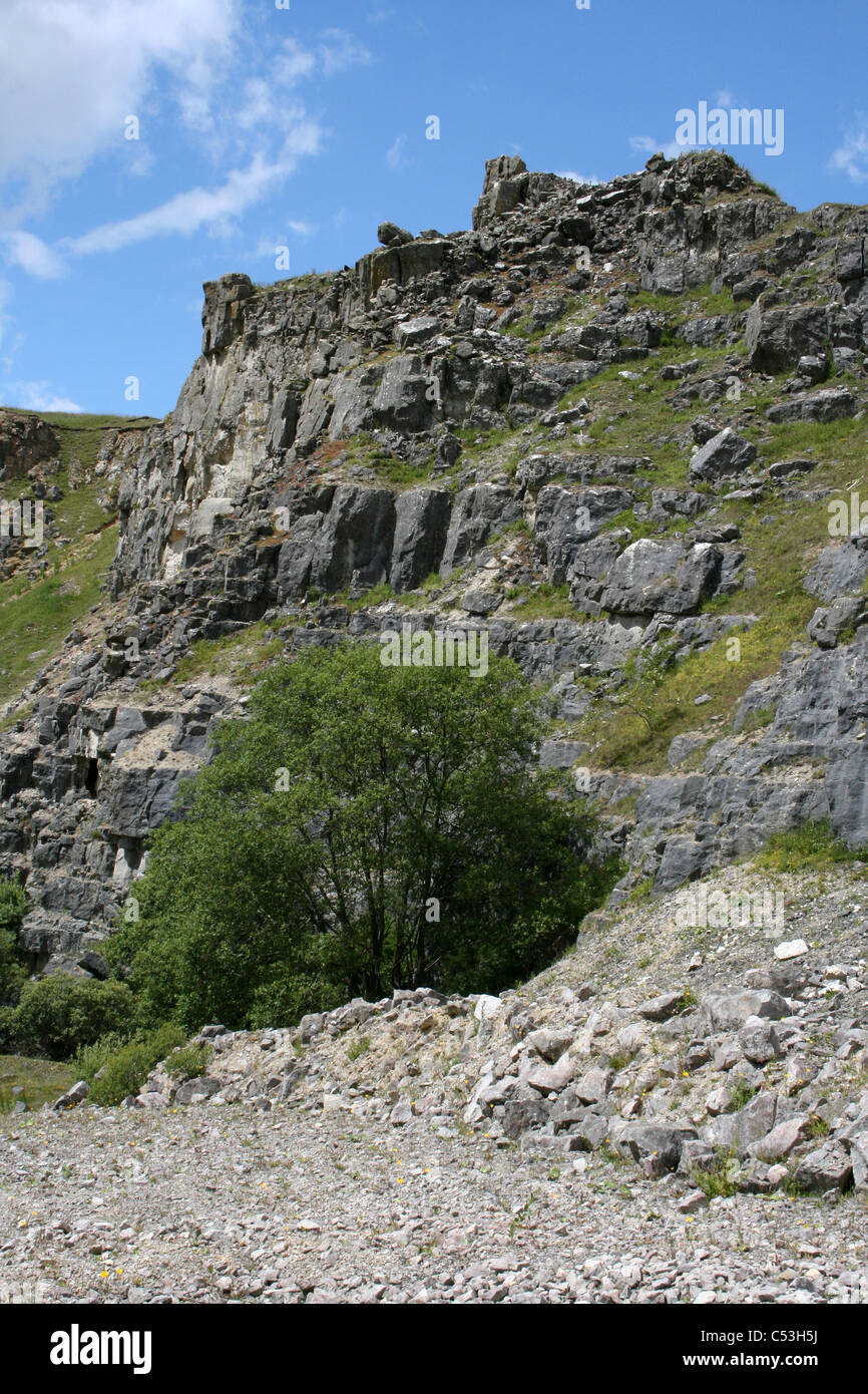 Minera Quarry in Wales, UK now a North Wales Wildlife Trust Reserve Stock Photo