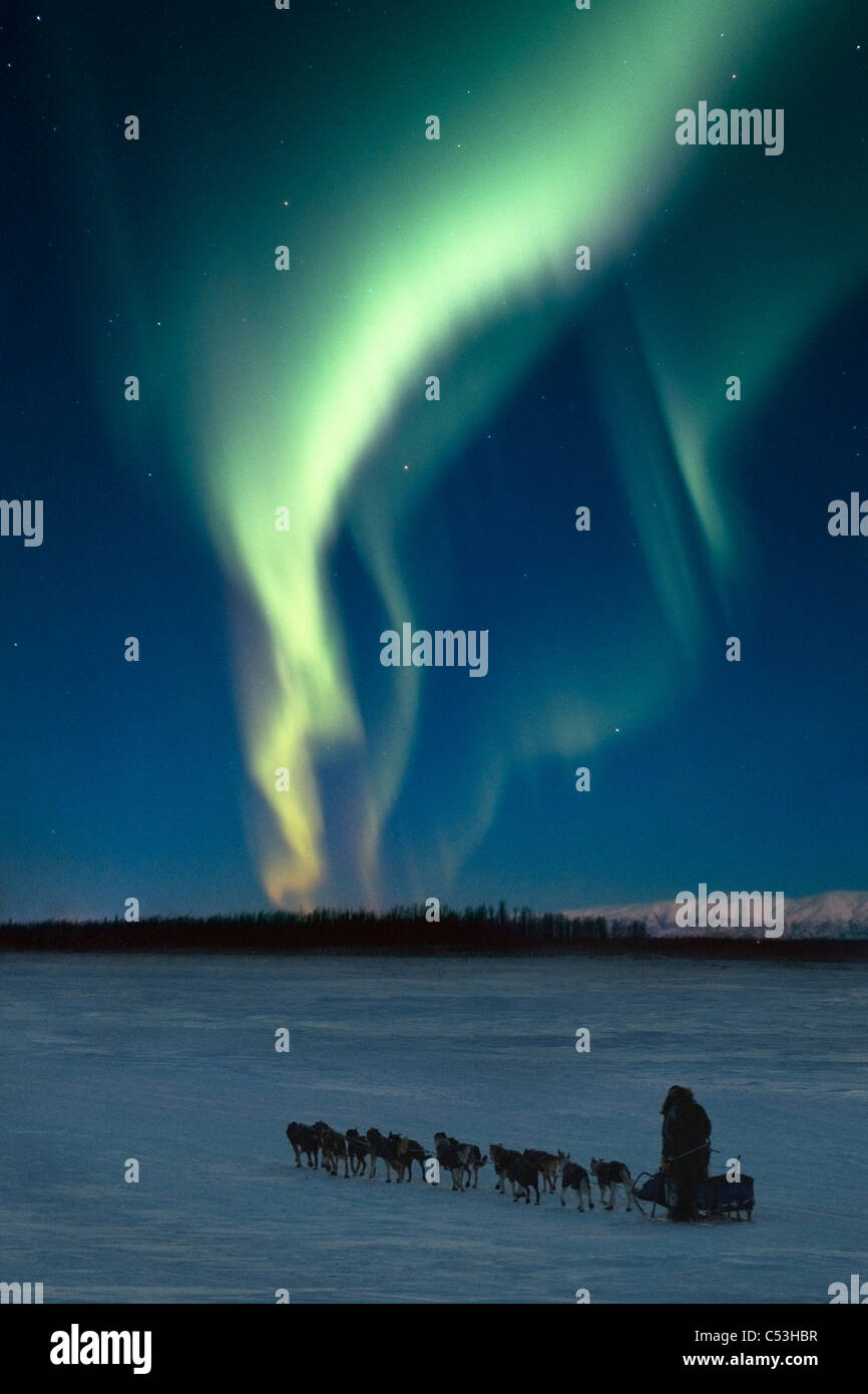 Scenic view of musher with Northern Lights overhead Alaska, Winter. COMPOSITE Stock Photo