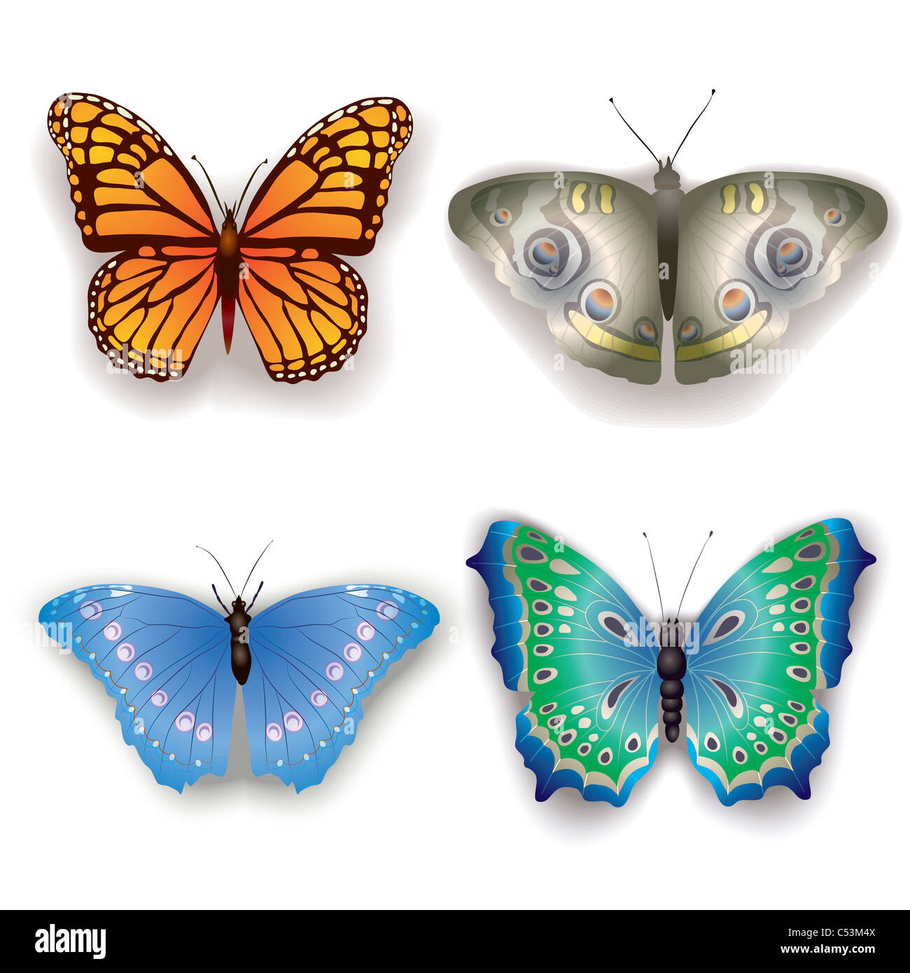 butterflies isolated on a white background Stock Photo - Alamy
