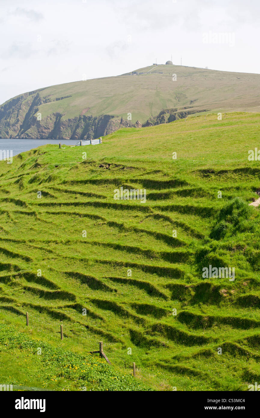 Erosion of sloping ground on the Isle of Unst by regular use by sheep. Shetland Isles. SCO 7475 Stock Photo