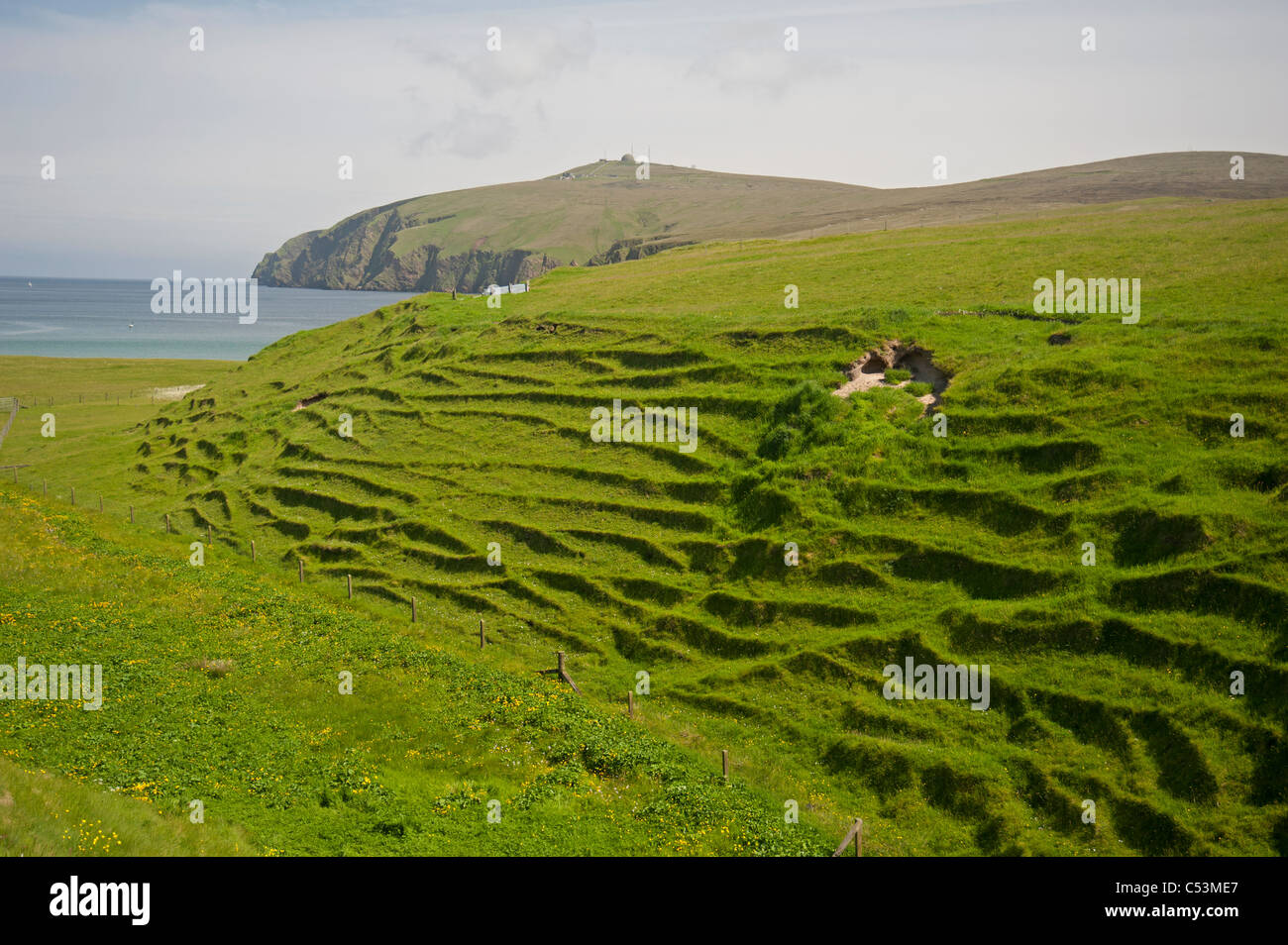 Erosion of sloping ground on the Isle of Unst by regular use by sheep. Shetland Isles.  SCO 7476 Stock Photo