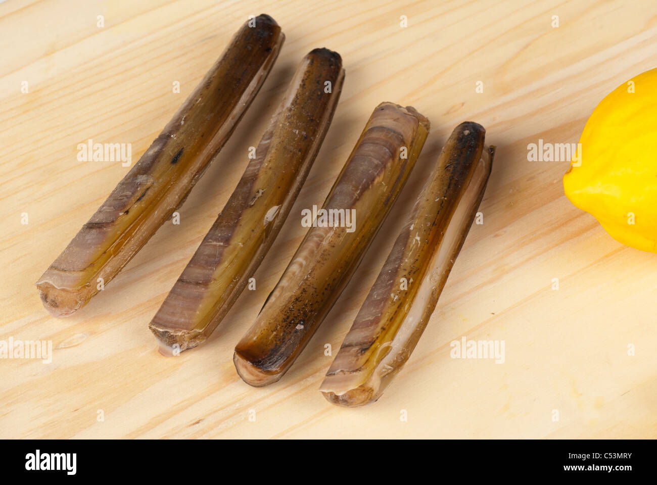 Freshly picked razor clams ready to be cooked Stock Photo - Alamy