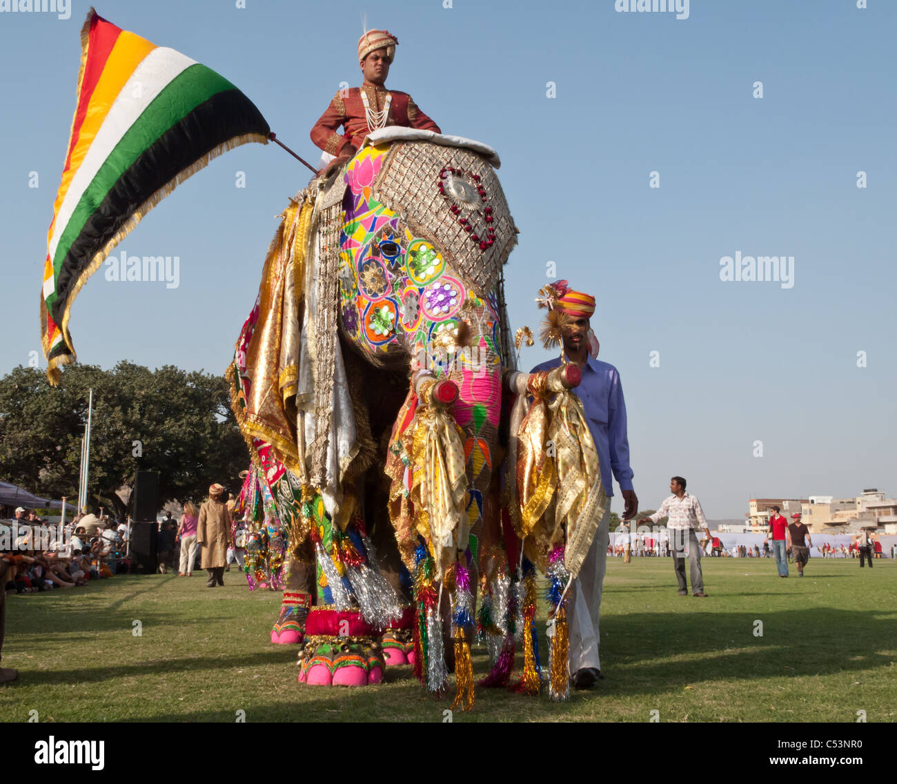 Colorful painted elephants and performers parade for the annual