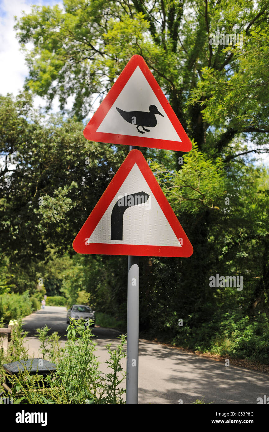 Road sign warning of ducks crossing at Arundel UK Stock Photo