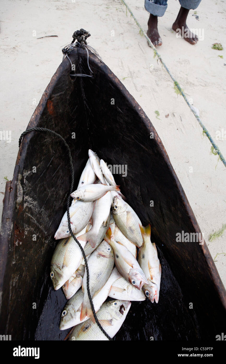 The Kivukoni Fish Market in Dar Es Salaam, Tanzania Stock Photo Alamy