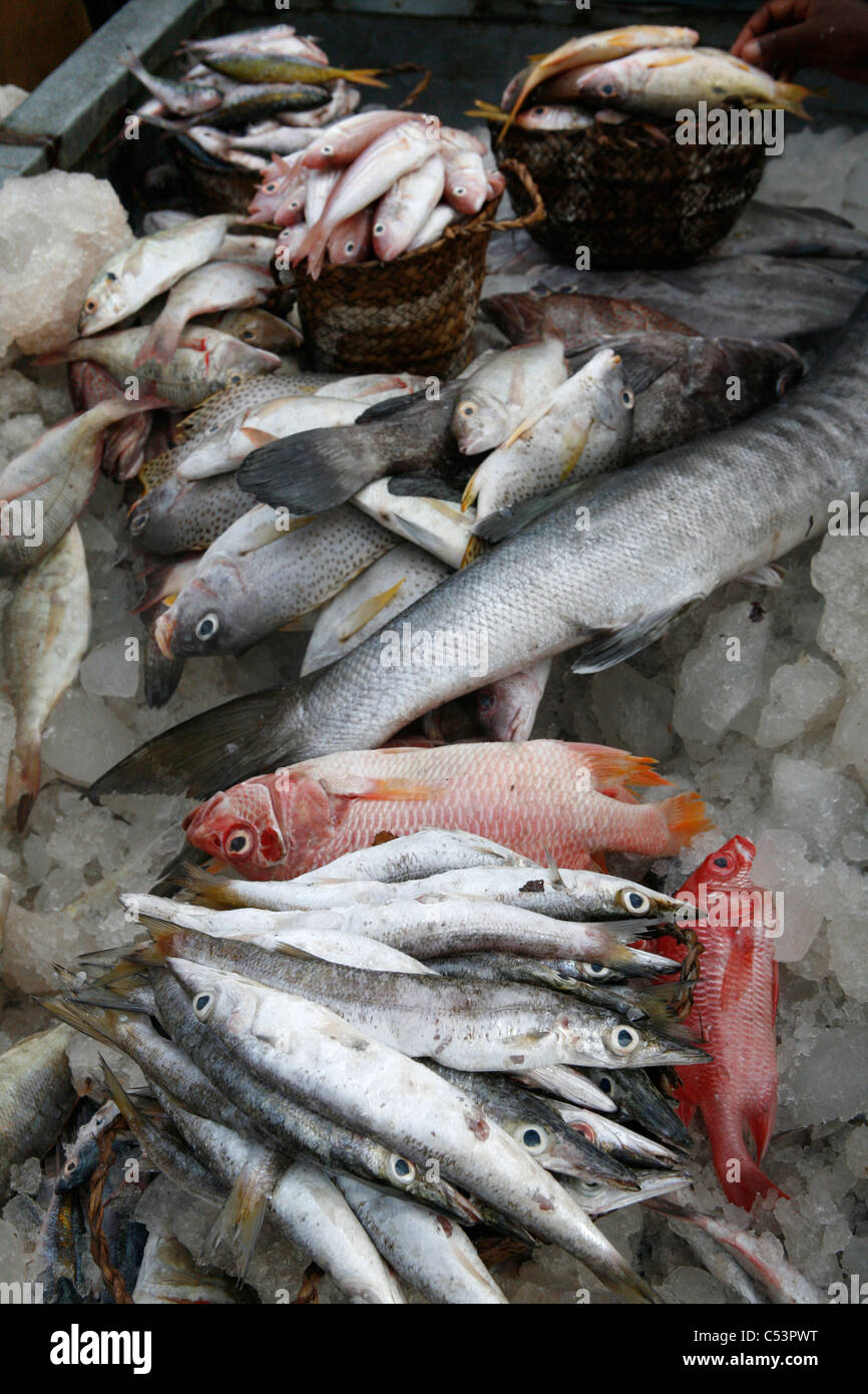 The Kivukoni Fish Market in Dar Es Salaam, Tanzania Stock Photo Alamy