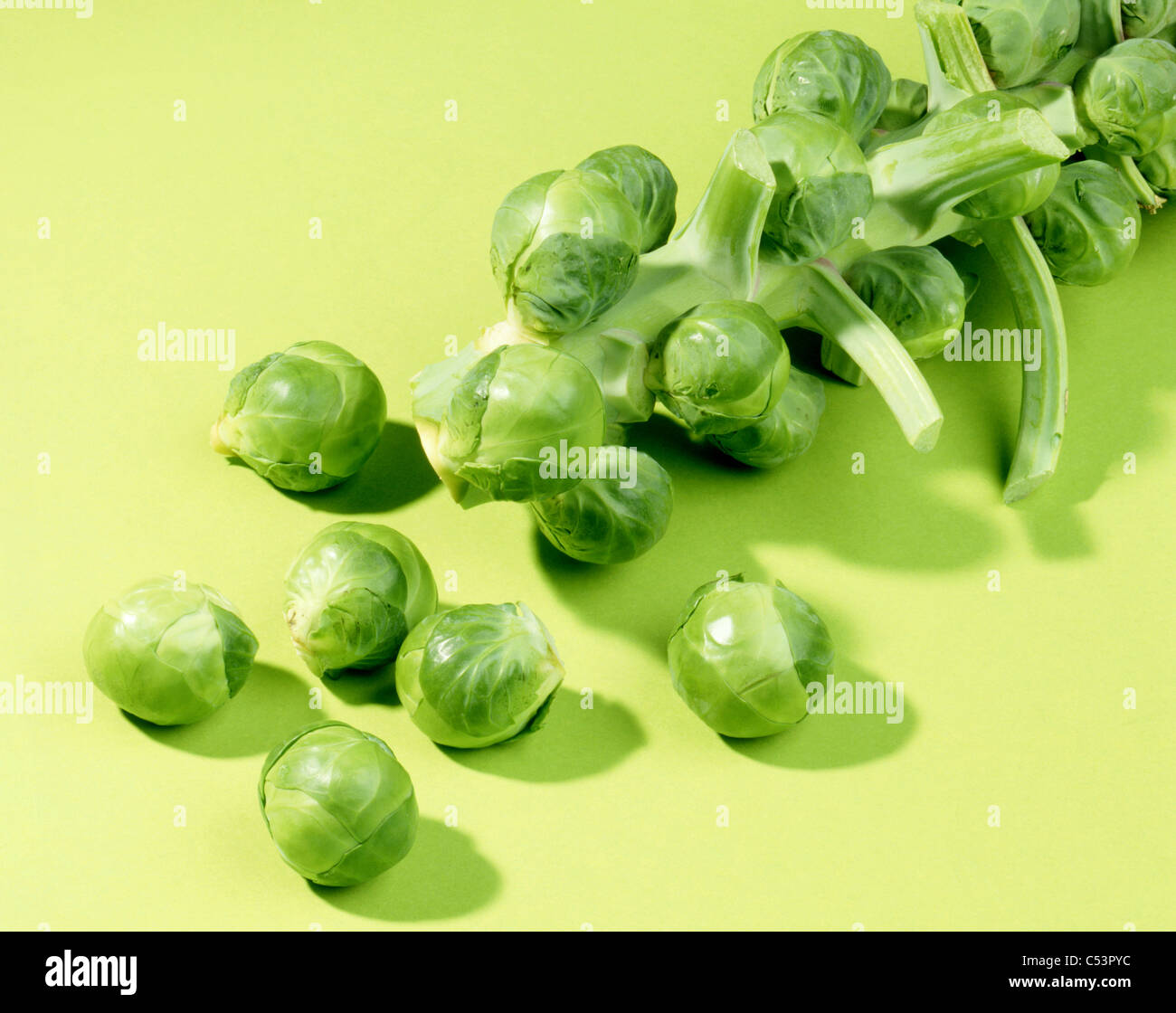 Sproutsstillstills hires stock photography and images Alamy