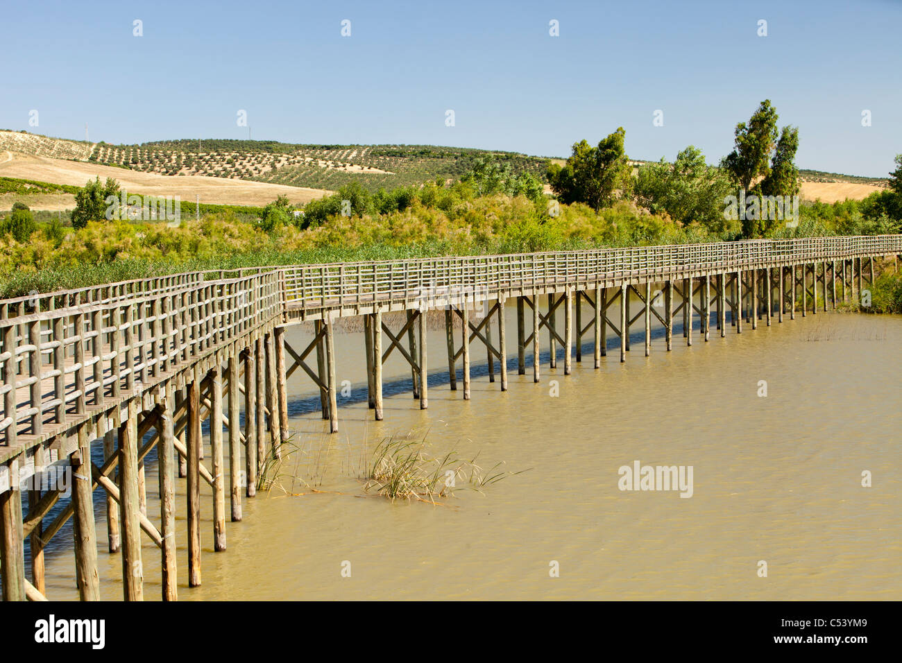 Guadiamar river hires stock photography and images Alamy