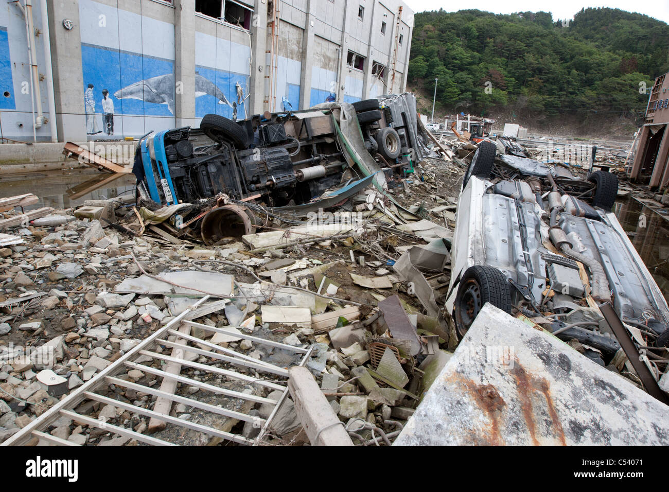 Tsunami Damaged Cars For Repair & Sale - Crash Management
