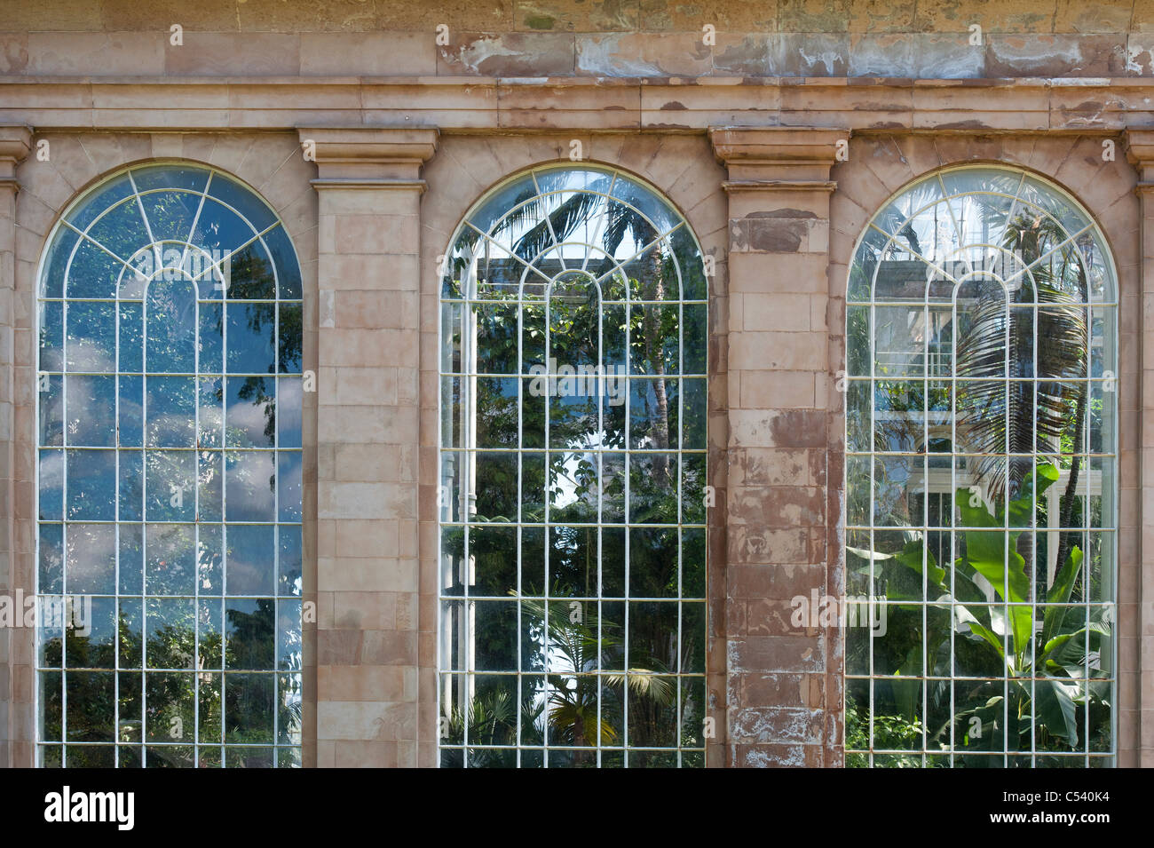 Temperate Palm House, Royal Botanic Gardens, Edinburgh. Scotland Stock Photo