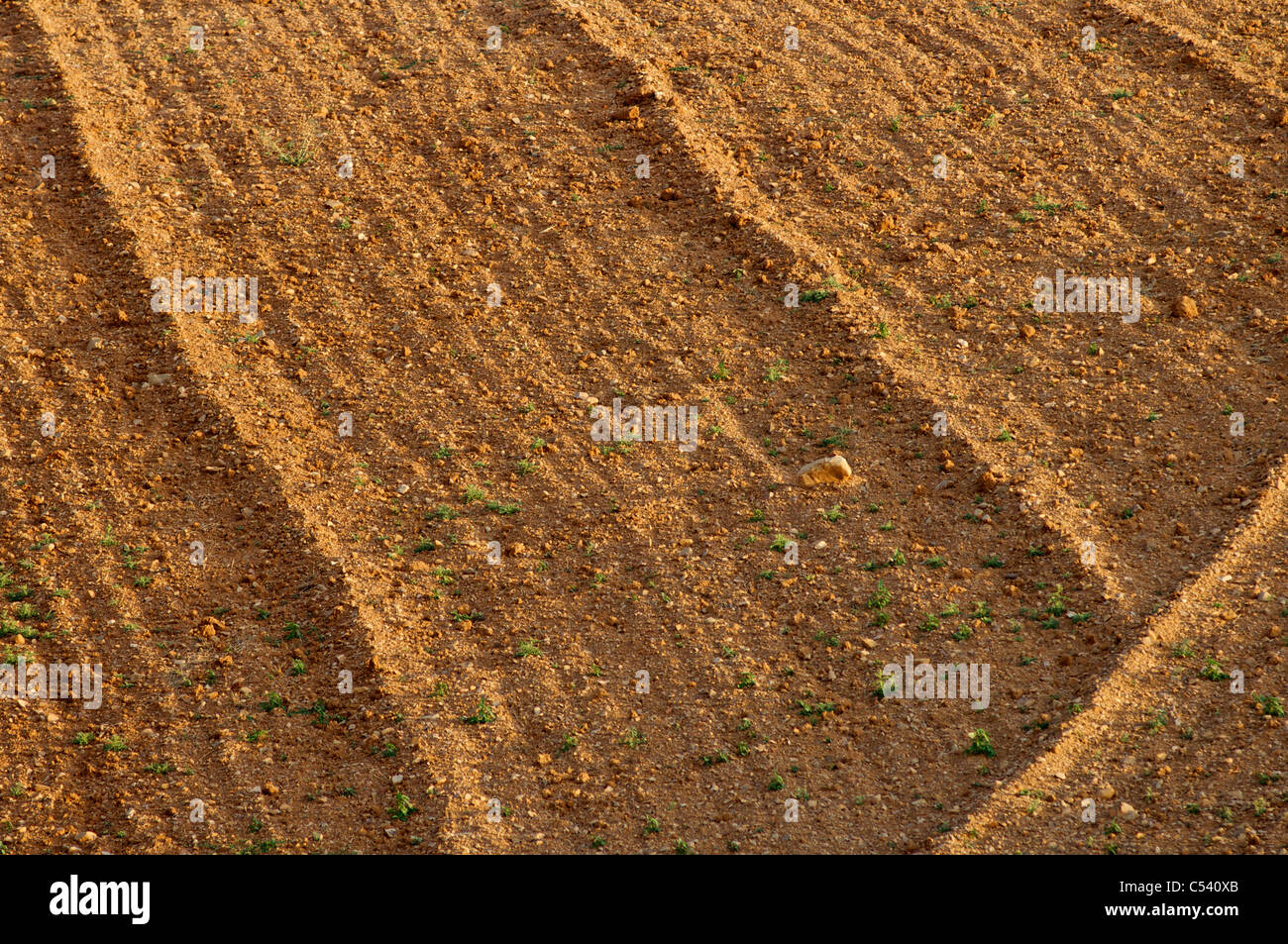 Farmland in Spain Stock Photo Alamy