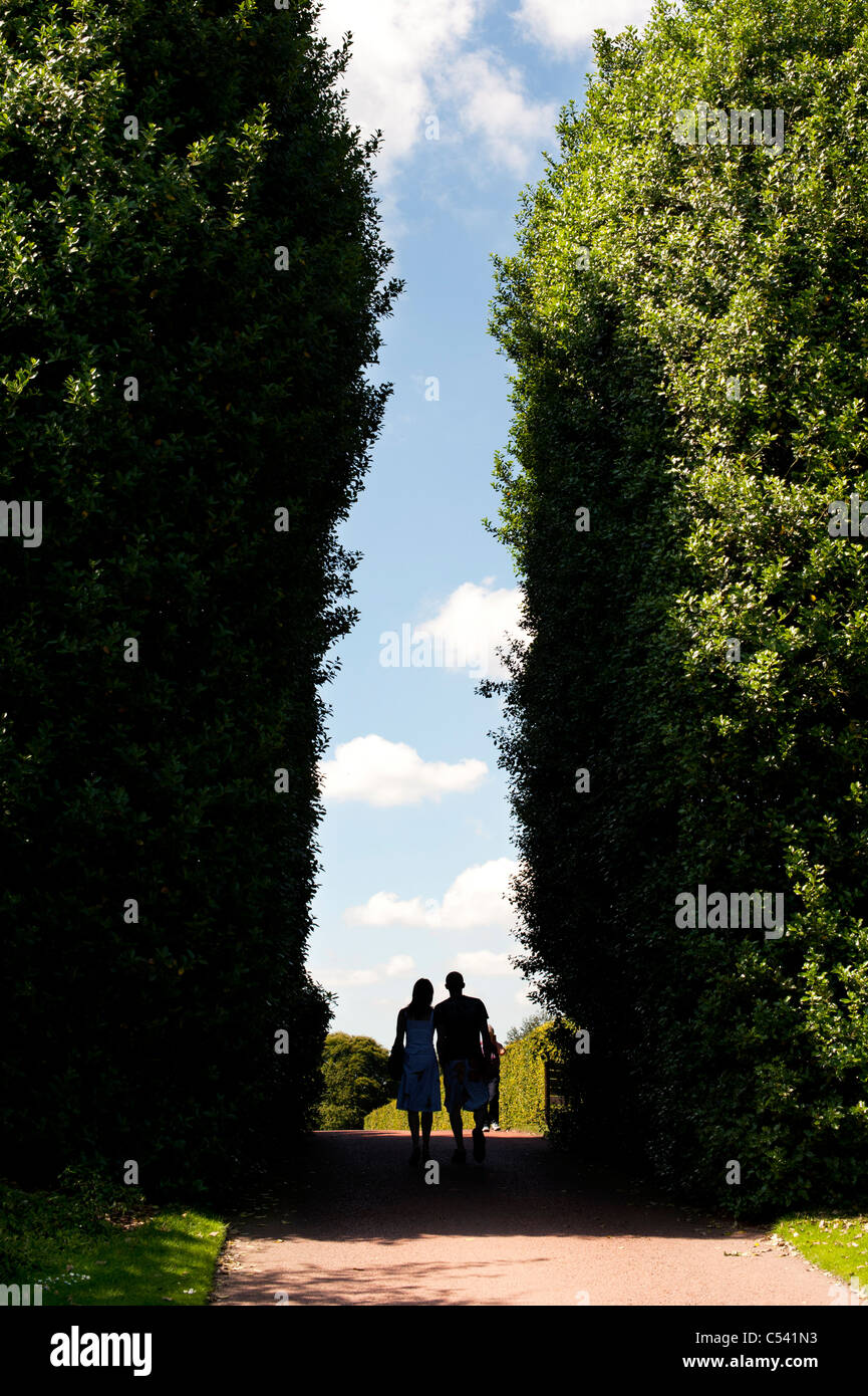 Silhouette couple walking through Tall Hedges at Royal Botanic Gardens, Edinburgh. Scotland Stock Photo