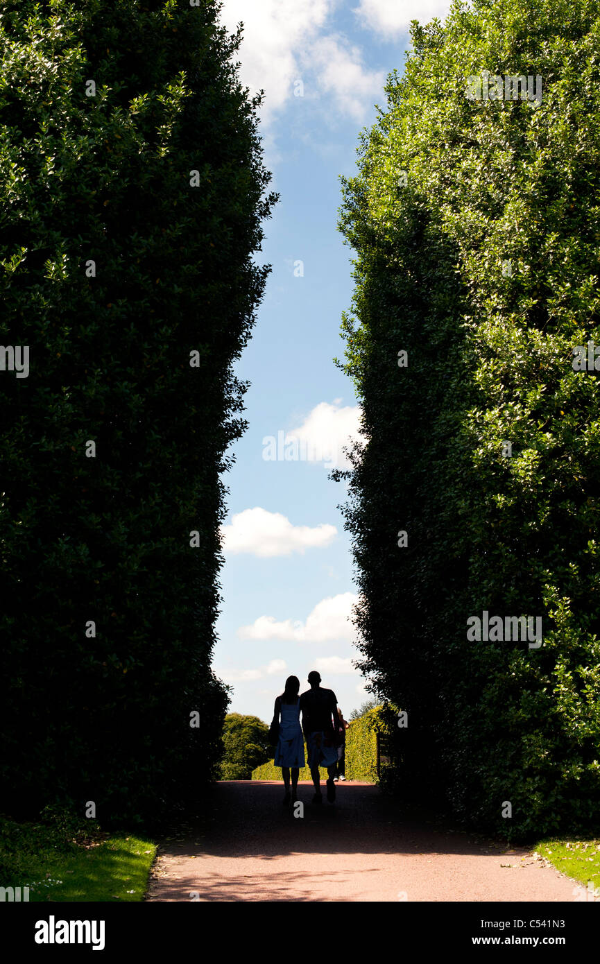 Tall silhouette hi-res stock photography and images - Alamy