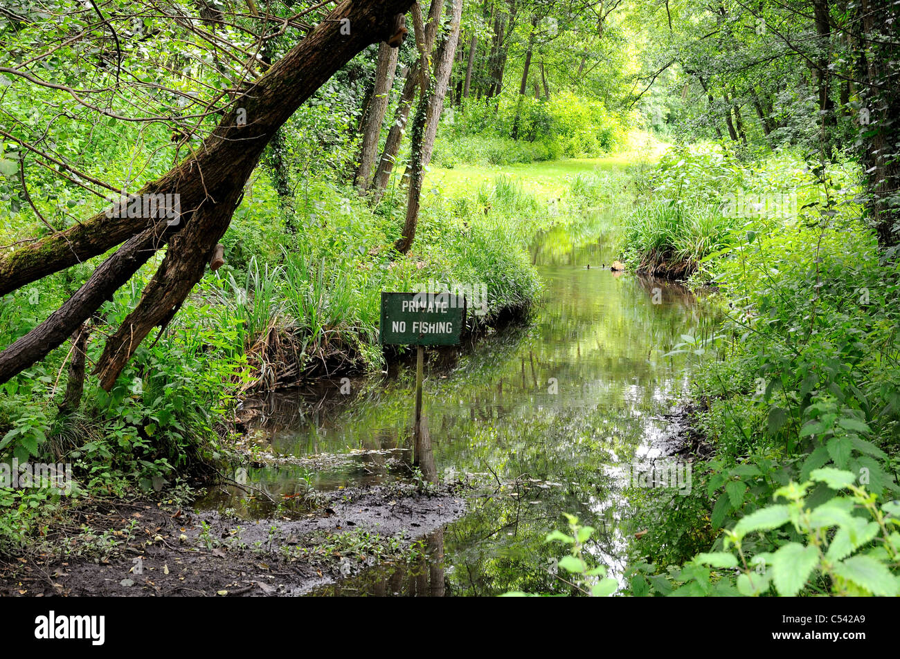 'No Fishing' sign in country stream Stock Photo
