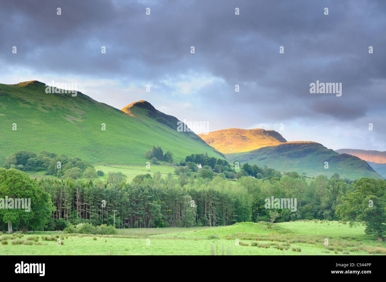 Summer morning sunlight on fells and countryside in the English Lake District Stock Photo