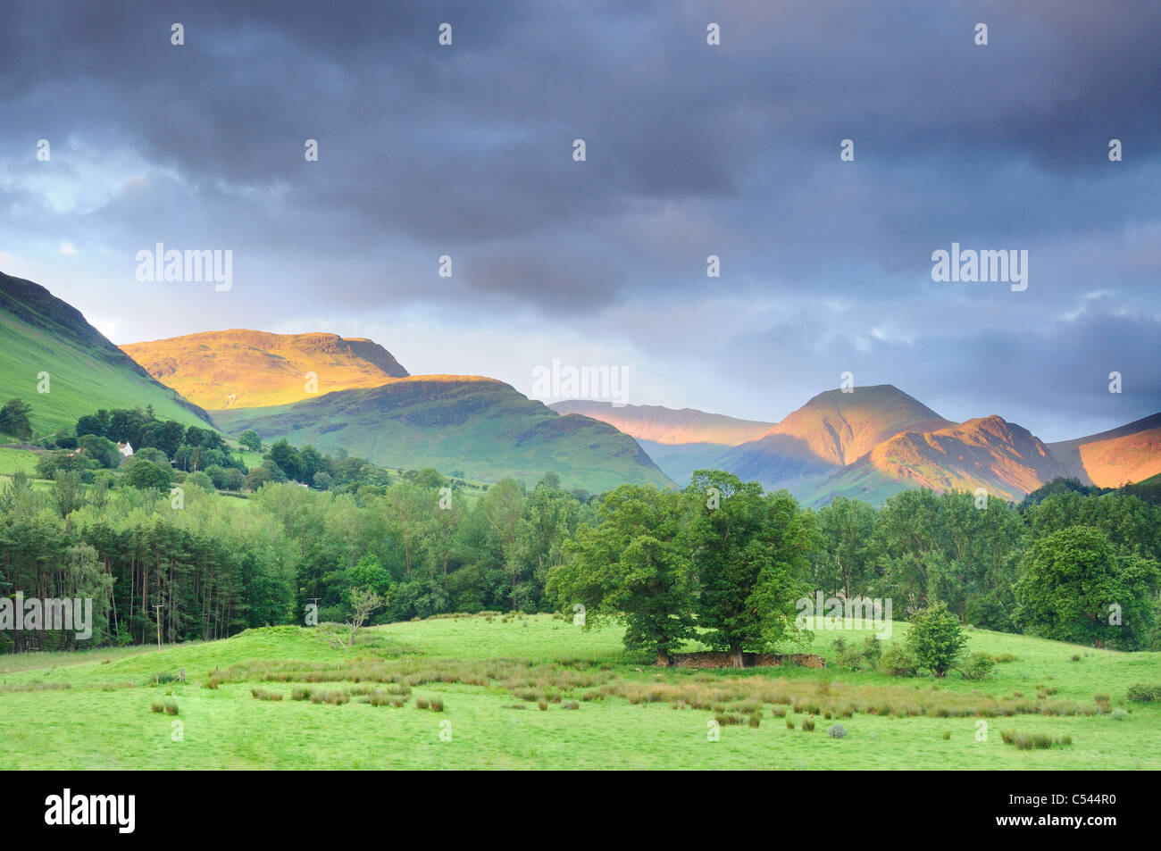 Summer morning sunlight on the Newlands Valley, Maiden Moor, and Hindscarth in the English Lake District Stock Photo