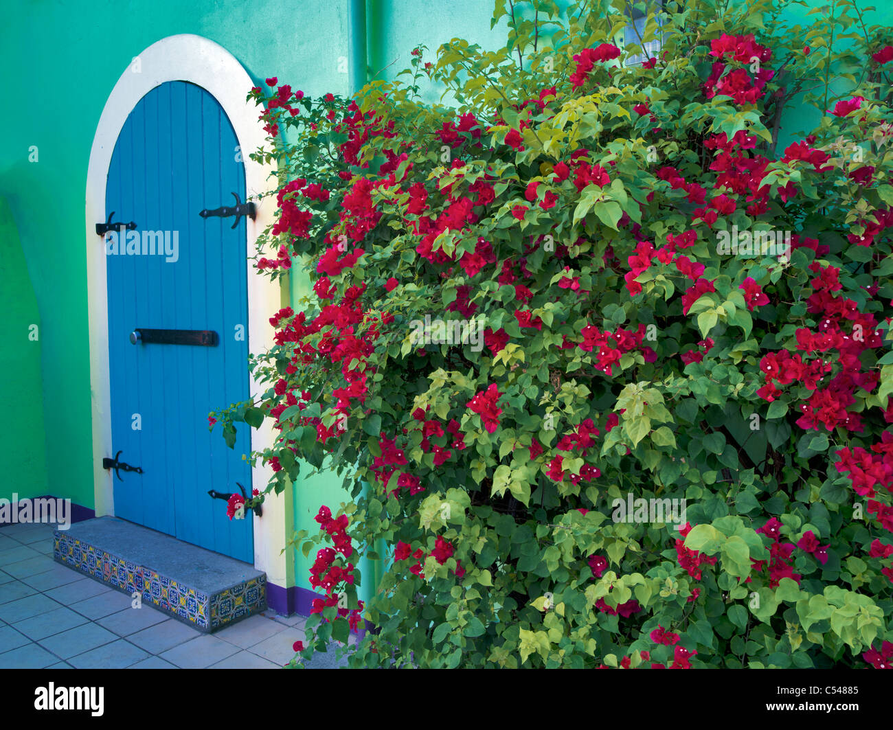 Store front doors with Bouganvilla. St. John. Virgin Slands St. John. Virgin Islands. Stock Photo