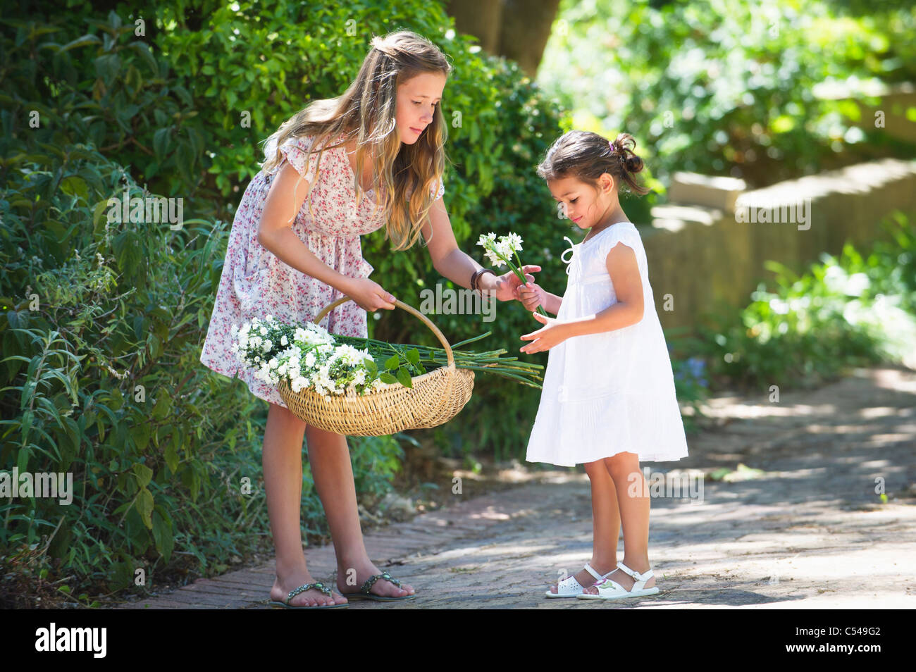 Girl giving flower to her little sister Stock Photo Alamy