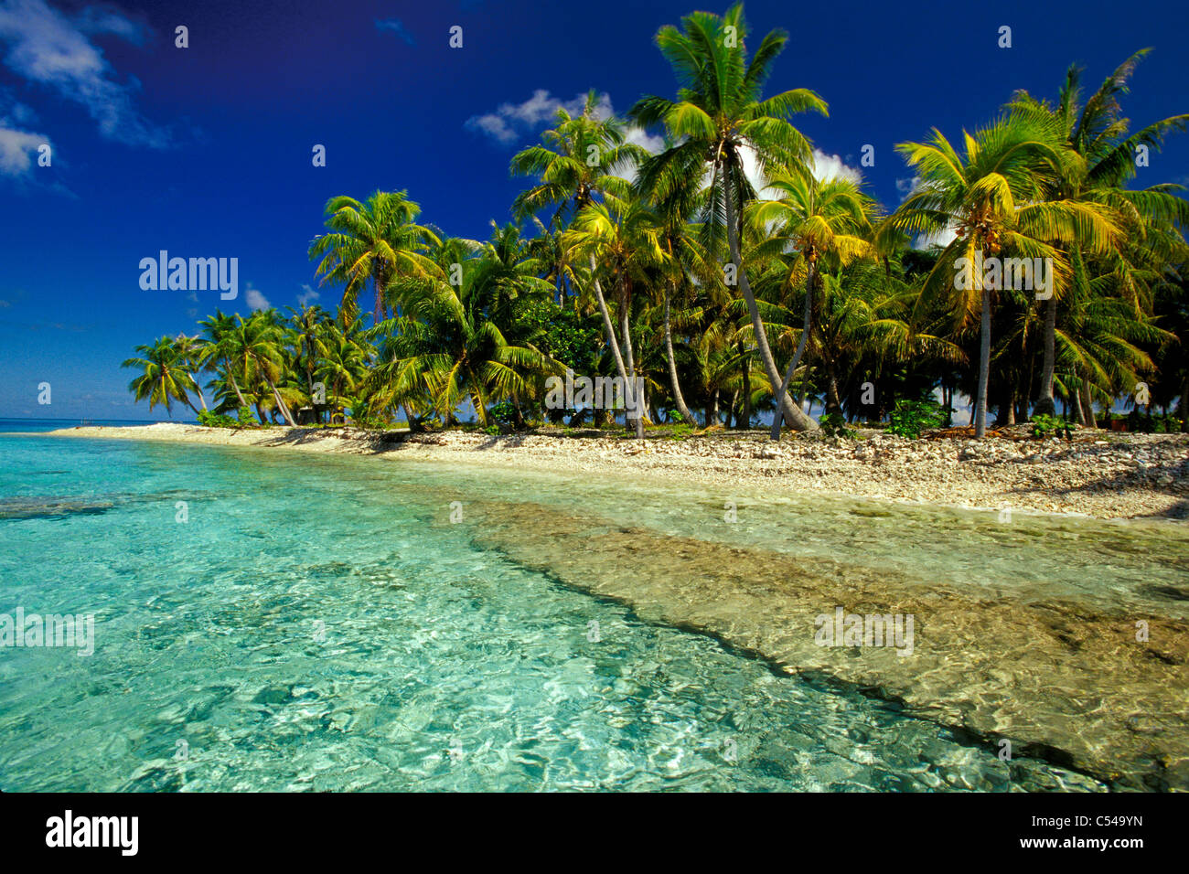 Tropical island with palm tree-lined beach, Blue lagoon, Rangiroa ...