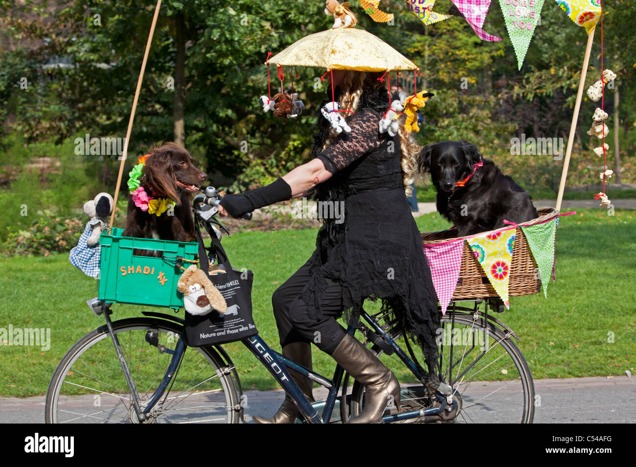 The Netherlands, Amsterdam, Yearly parade of dogs on bicycles called Hondjesparade. Stock Photo