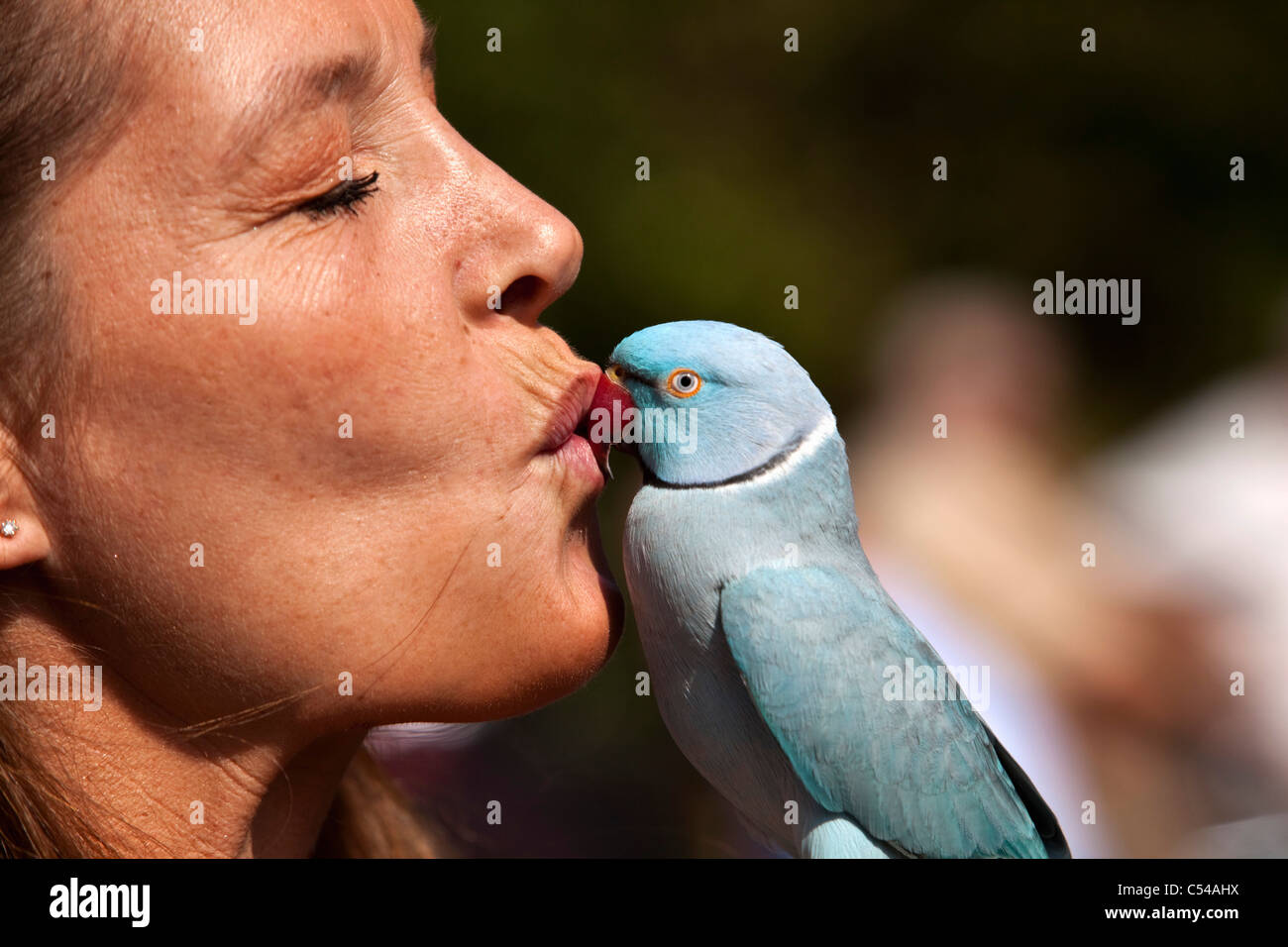 The Netherlands, Amsterdam, Woman kissing parakeet. Stock Photo