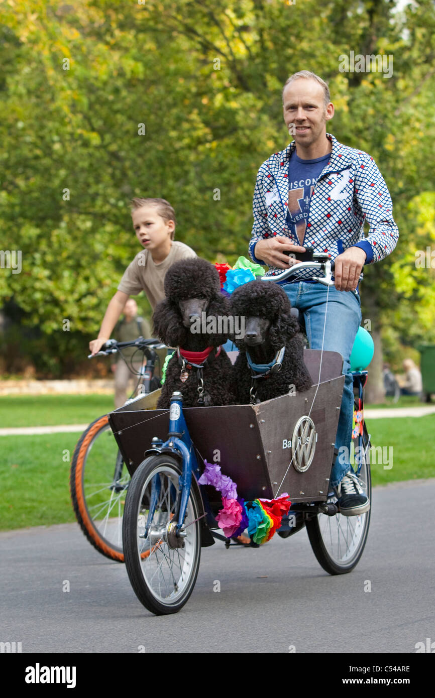 The Netherlands, Amsterdam, Yearly parade of dogs on bicycles called Hondjesparade. Stock Photo