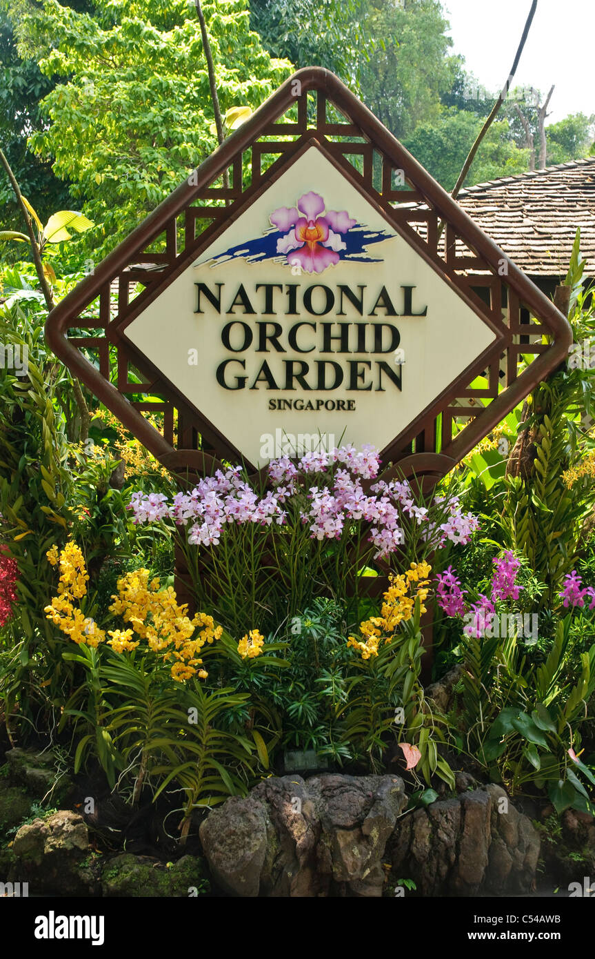 National Orchid Garden, Singapore Botanic Gardens, Singapore, Southeast Asia, Asia Stock Photo