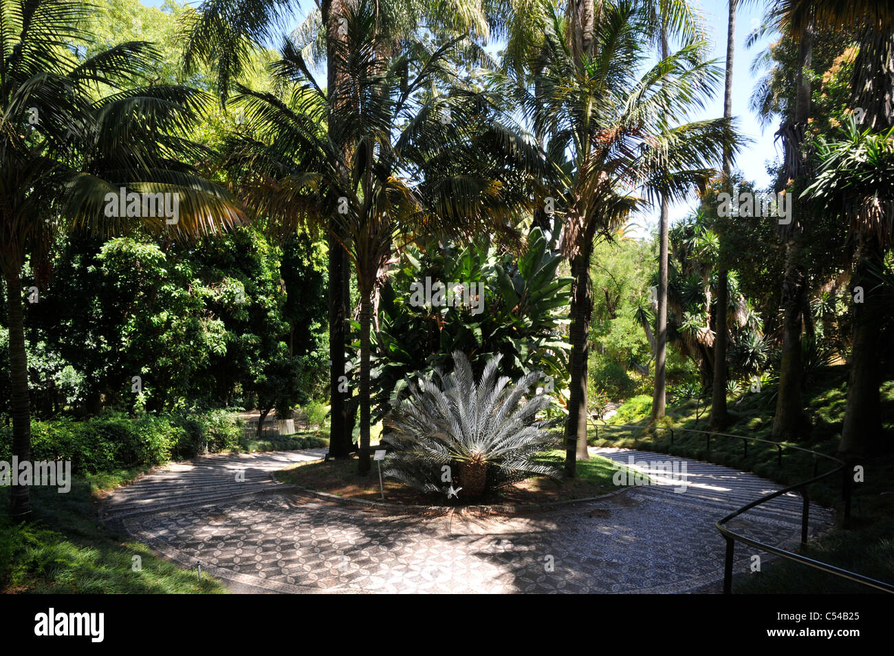 Lisbon Botanical Garden, Lisbon, Portugal Stock Photo Alamy