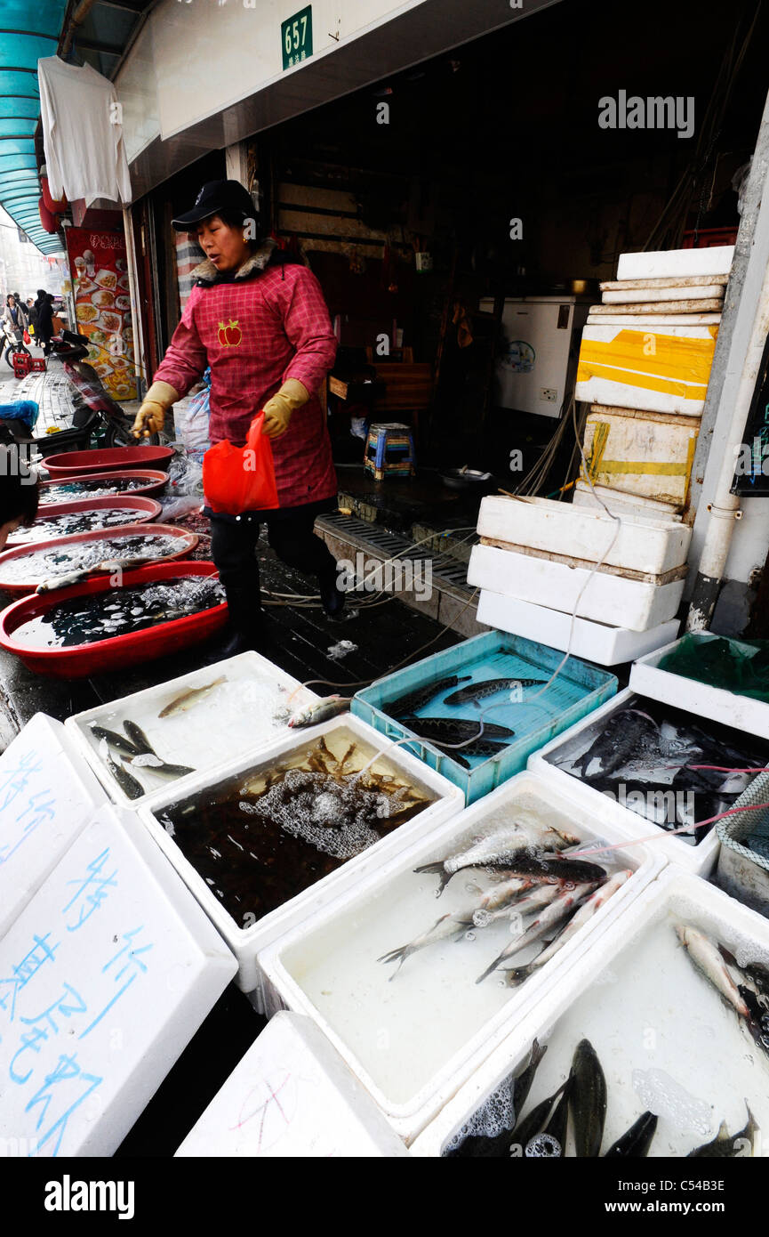 Fish seller in Shanghai Stock Photo