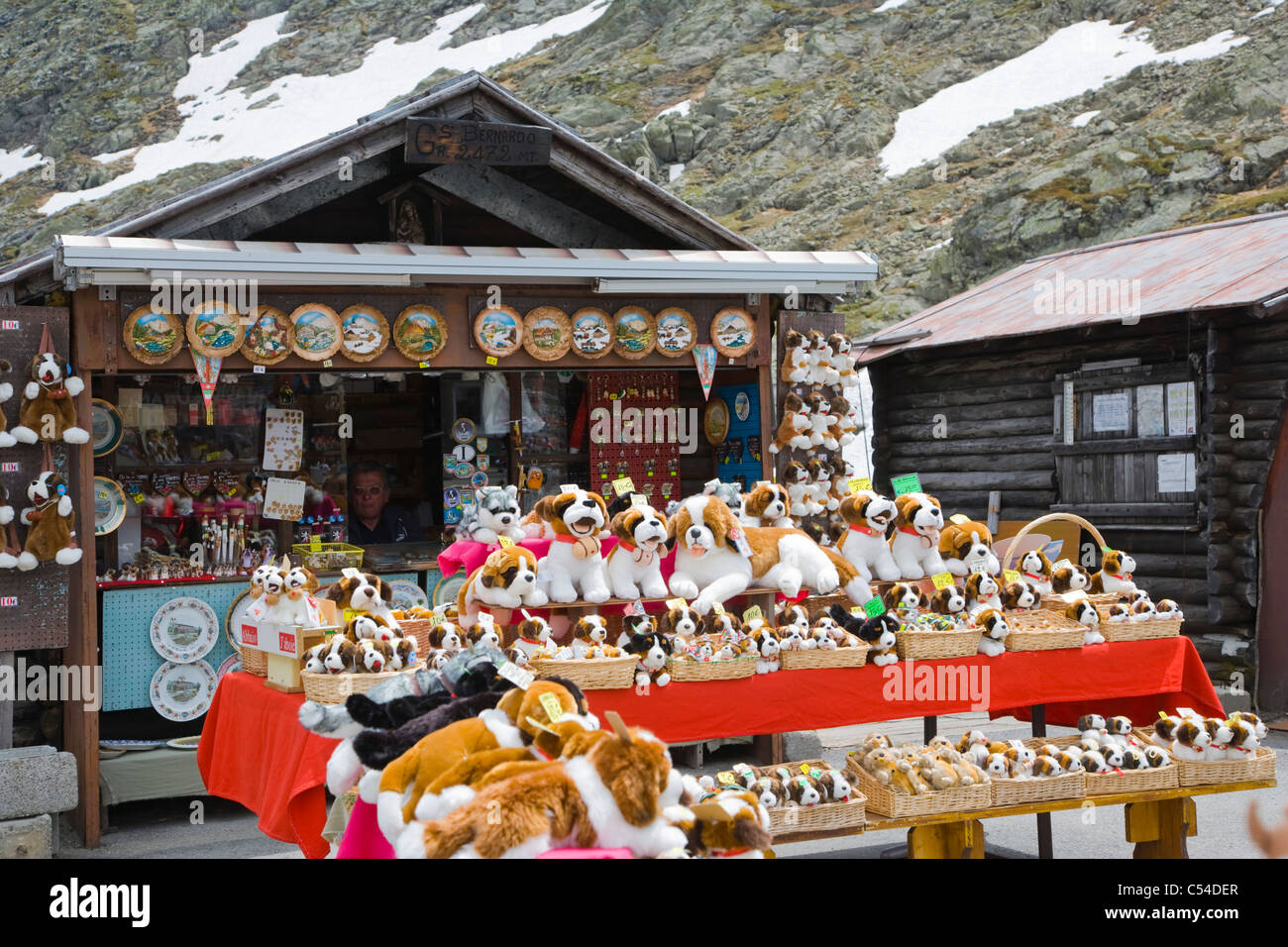 Saint hotsell bernard shop