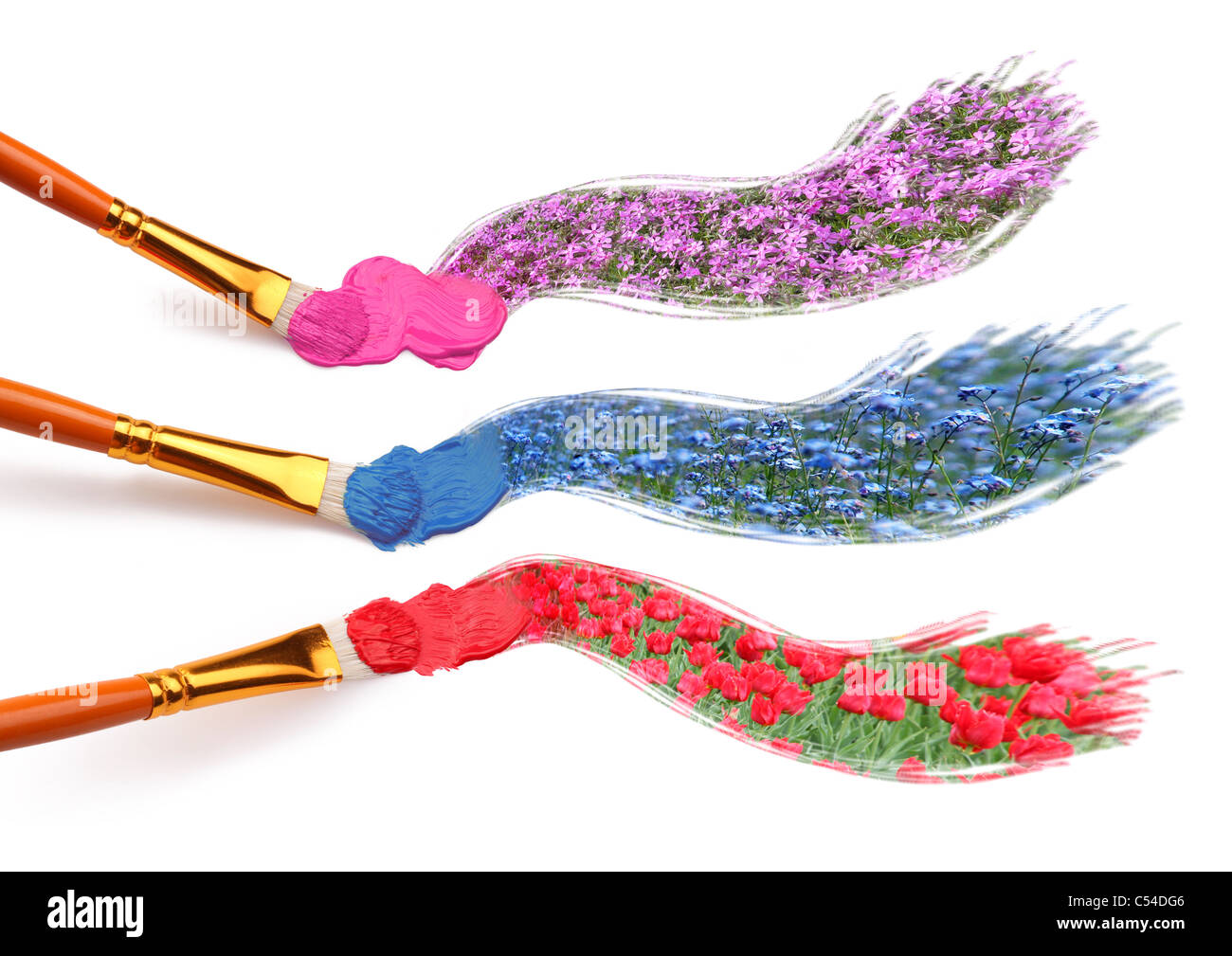 Painting of colourful wildflowers. Stock Photo
