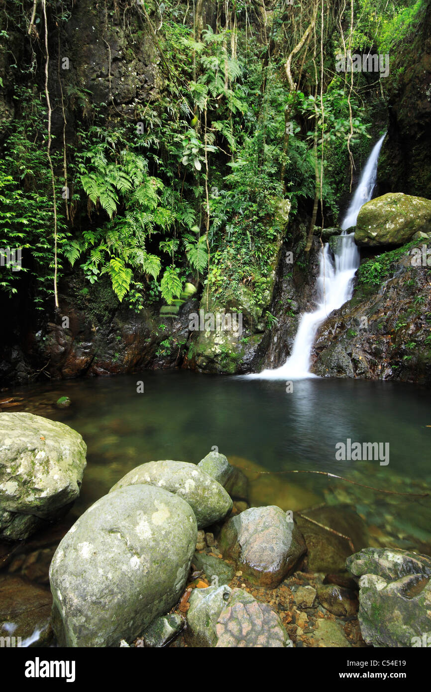 Waterfall making its way into a pond in the rainforest Stock Photo Alamy