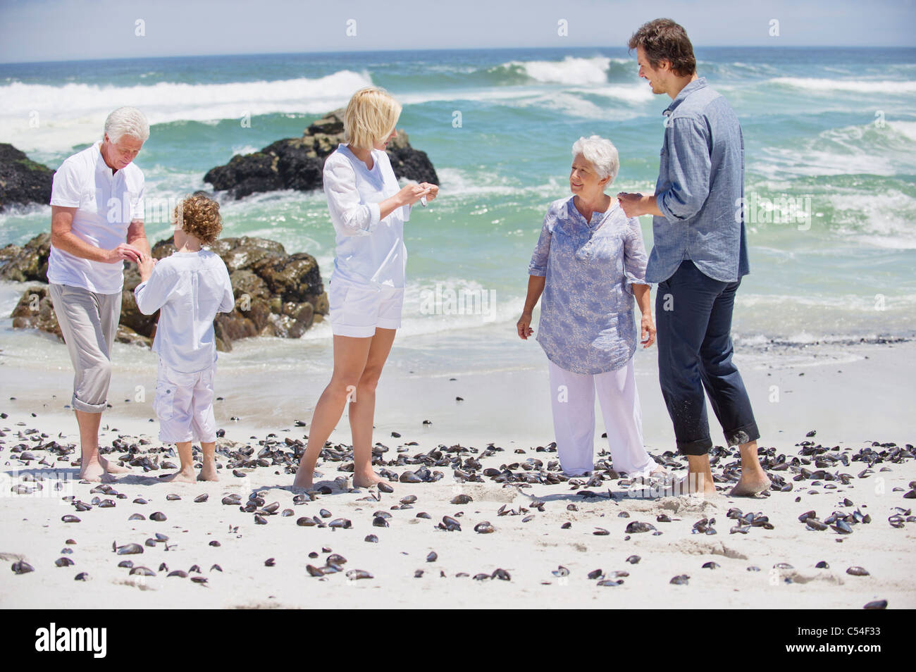 Multi generation family collecting shell on the beach Stock Photo Alamy