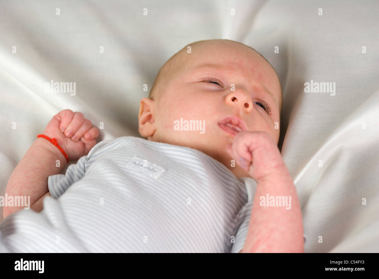 one and a half month old baby