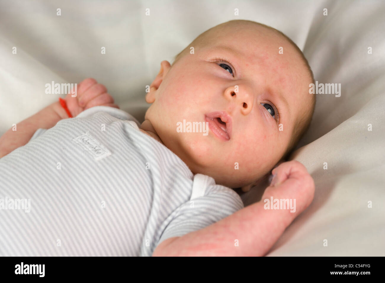 half month old baby girl Stock Photo 