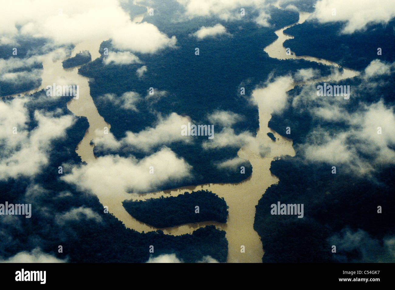 Aerial view of Amazon rain forest, river forest, Acre State