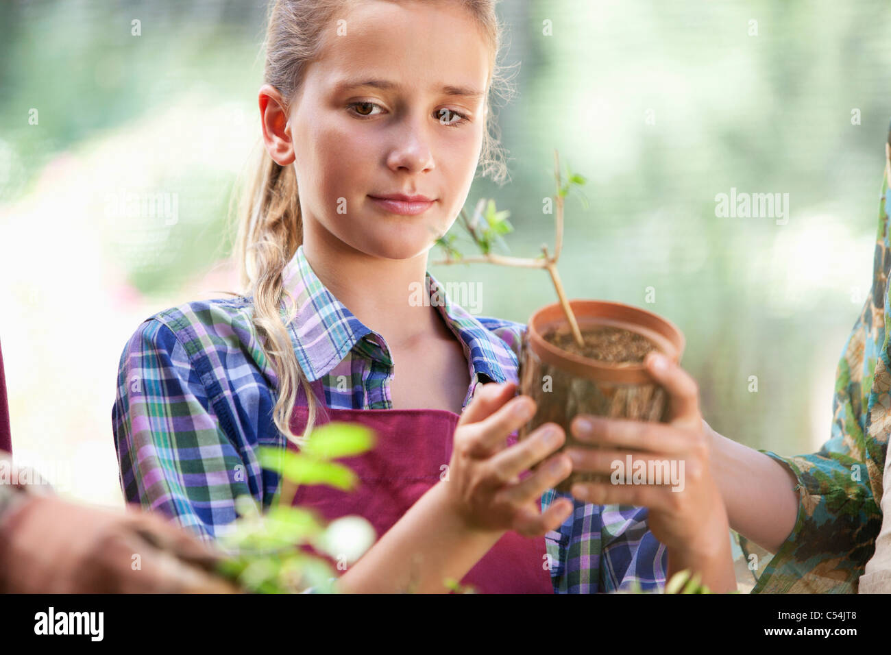 Girl holding a potted plant Stock Photo - Alamy