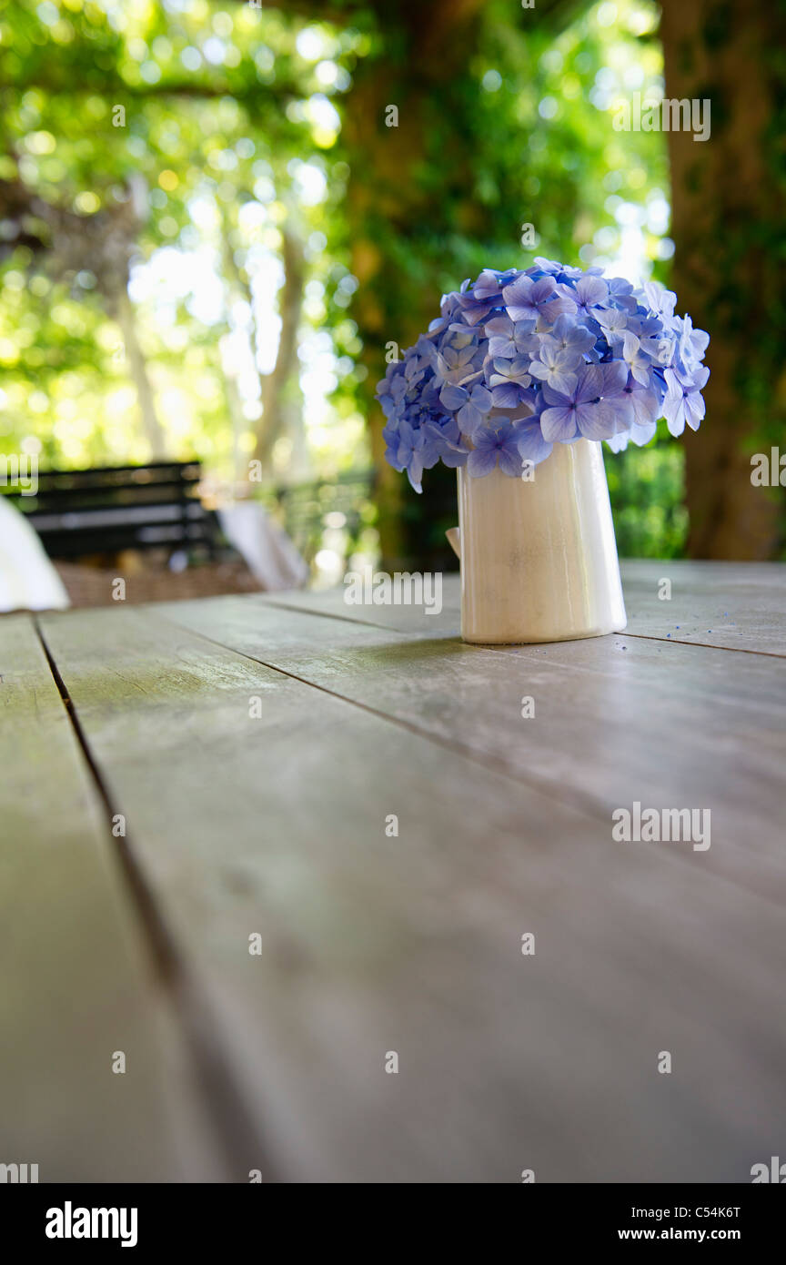 Flower pot on a table Stock Photo