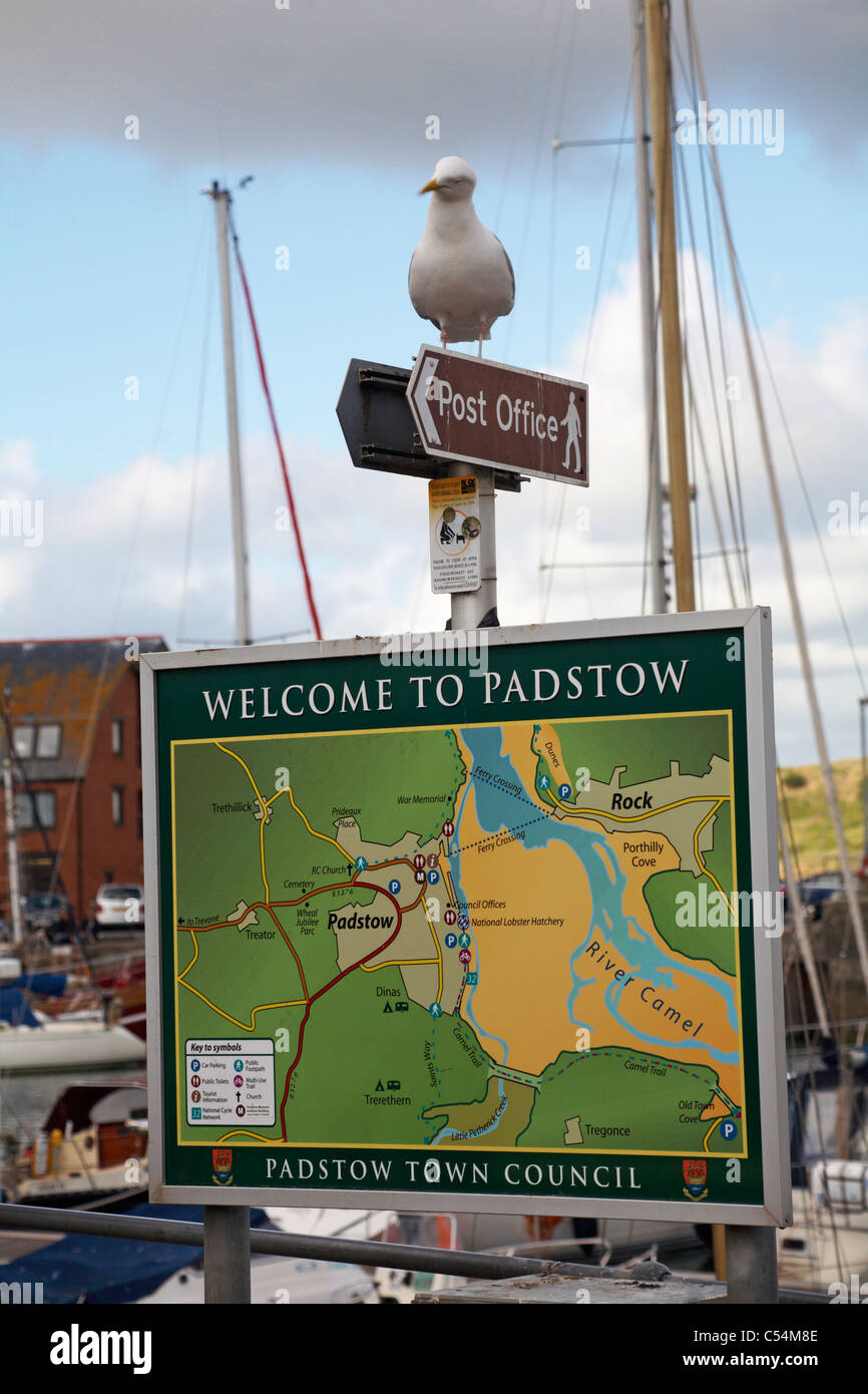 Map of padstow hires stock photography and images Alamy
