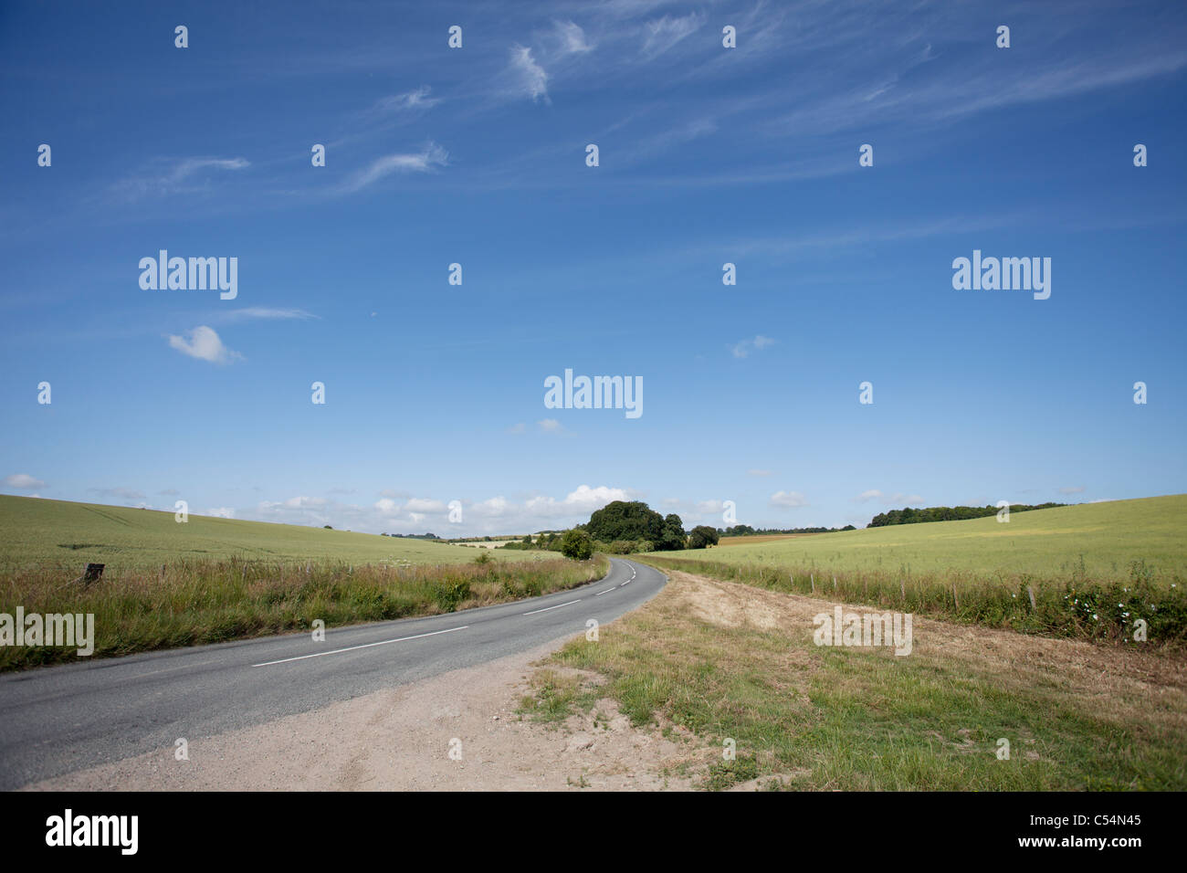empty country road and crop fields in summer Stock Photo