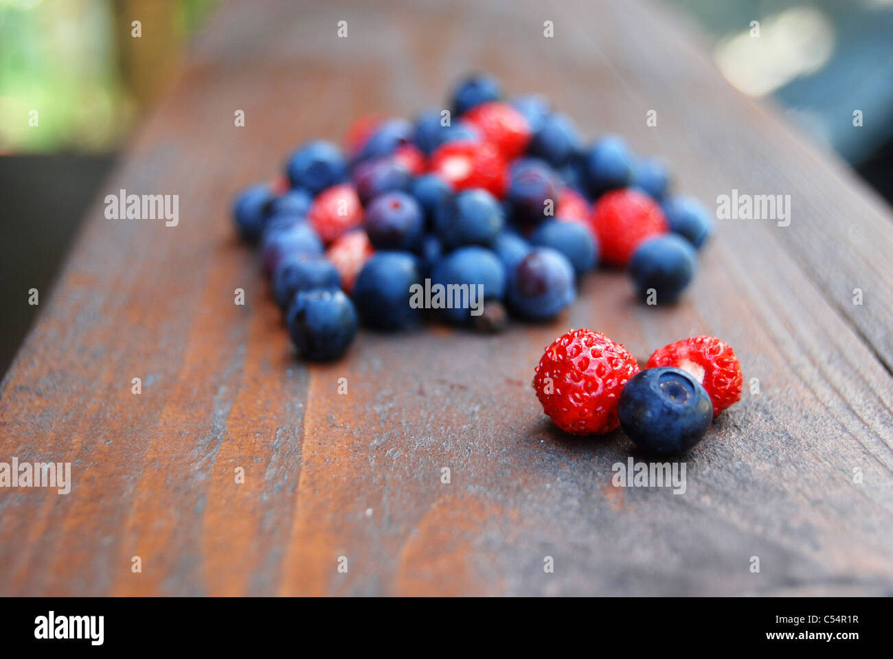 The forest strawberry hi-res stock photography and images - Alamy