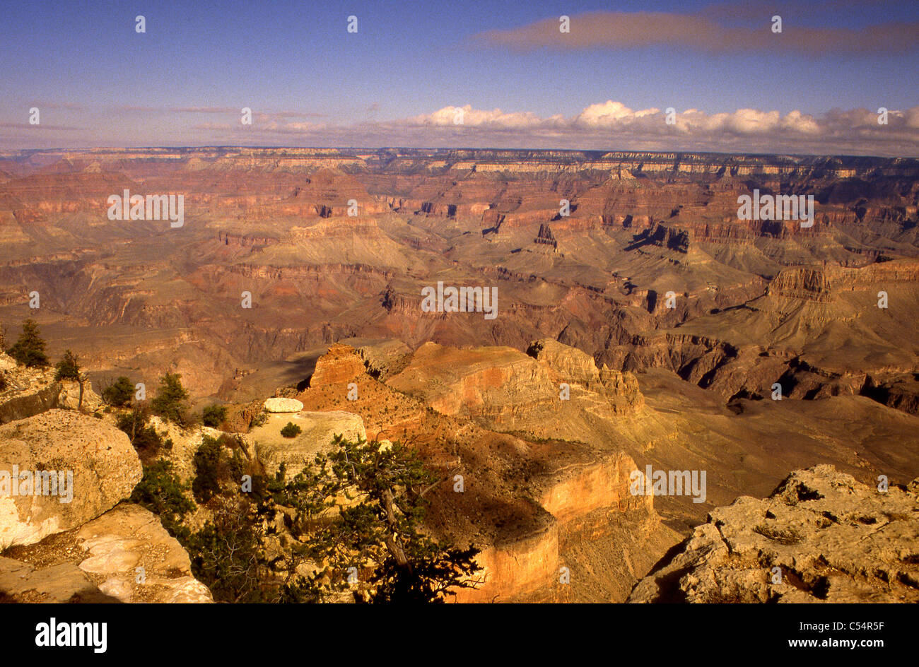 Grand Canyon South Rim Arizona USA Stock Photo - Alamy