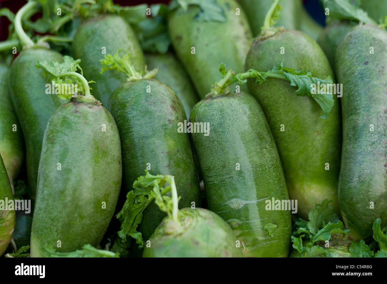 Chinese melons at a market stall, Binhai, Tianjin, China Stock Photo