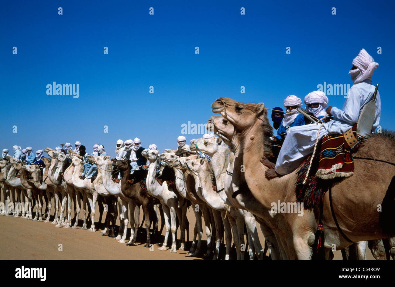 Algeria, Illizi Province, Djanet, Tuareg camel riders on camels waiting ...