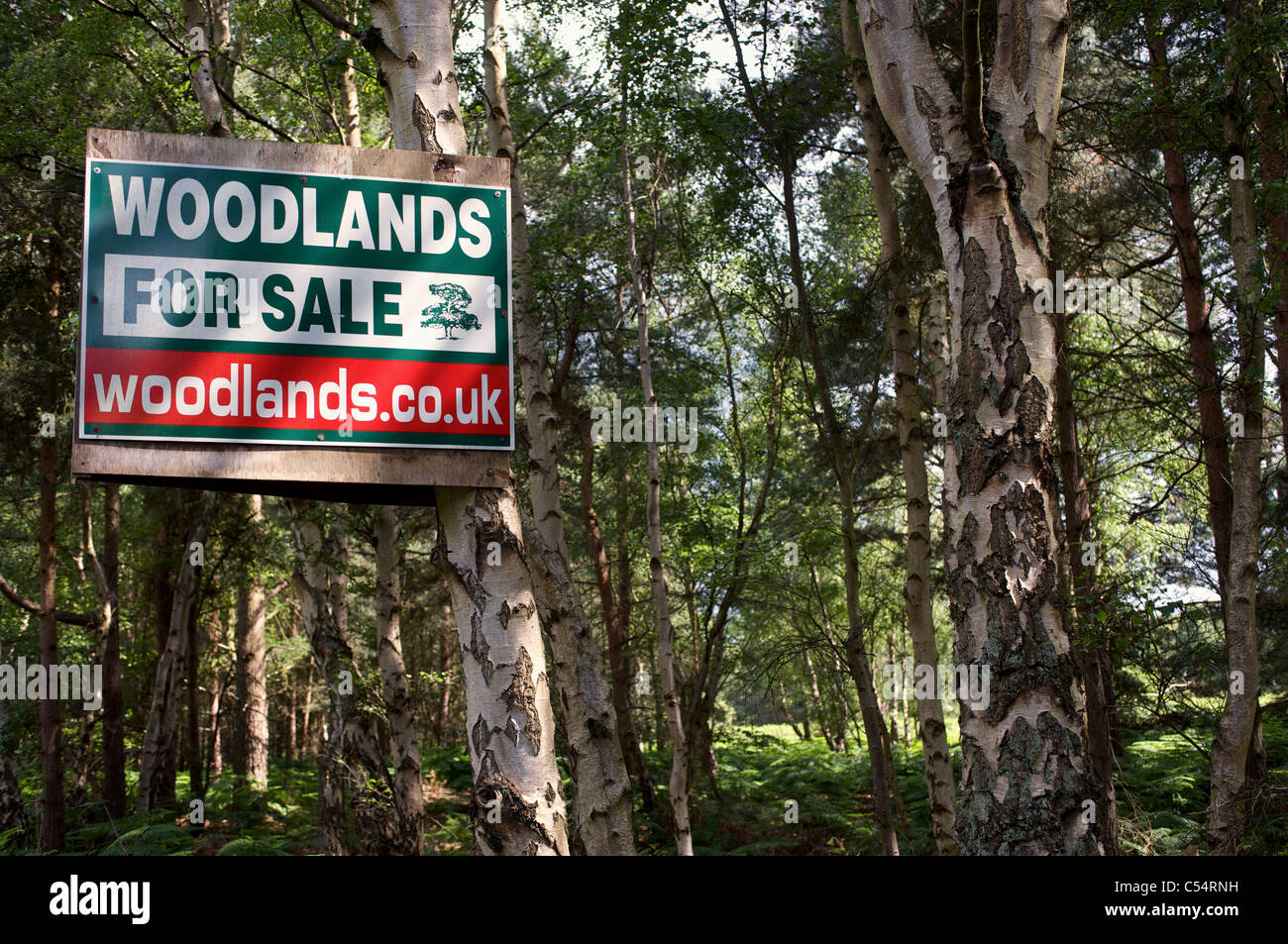 Woodlands for sale notice board Stock Photo Alamy