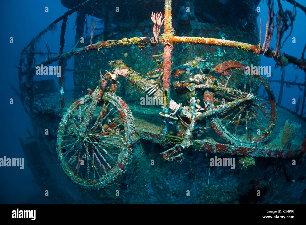 Bicycle hangs on railing of the shipwreck Halliburton, Utila, Bay islands, Honduras, Caribbean Stock Photo