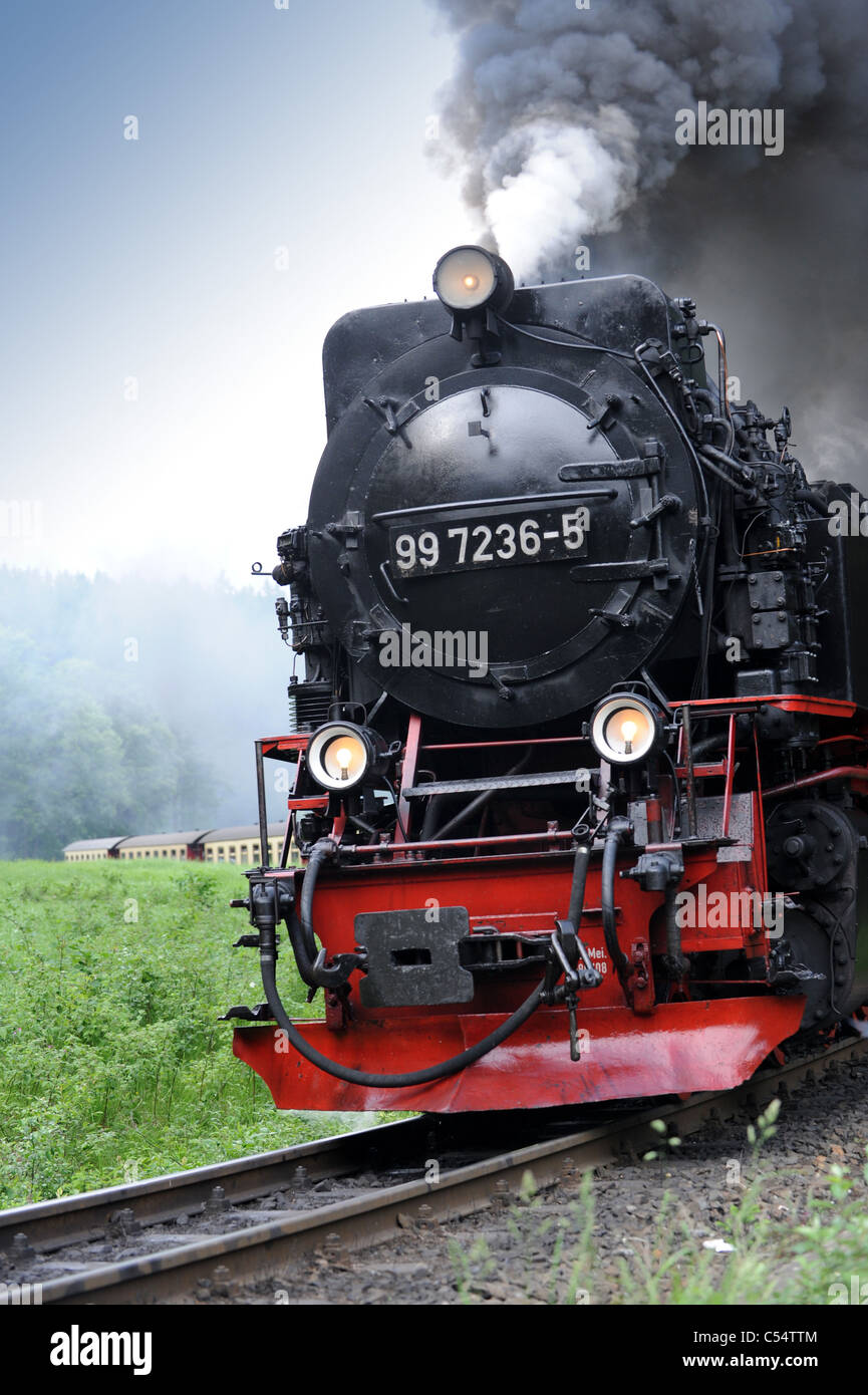 Steam locomotive on Harz mountain railway Germany Stock Photo