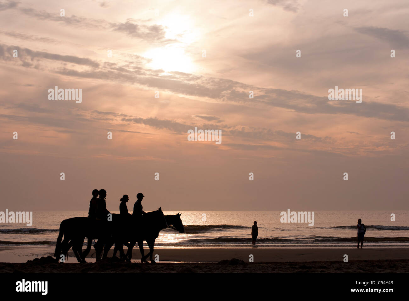 Horses on beach at sunset Stock Photo - Alamy